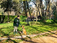 Na Paluchu jesienią  Schronisko dla Bezdomnych Zwierząt "Na Paluchu" w Warszawie. Jesień 2018 : na paluchu, schronisko dla bezdomnych zwierząt, jesień w schronisku, bezdomne zwierzęta, na skraju