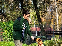 Na Paluchu jesienią  Schronisko dla Bezdomnych Zwierząt "Na Paluchu" w Warszawie. Jesień 2018 : na paluchu, schronisko dla bezdomnych zwierząt, jesień w schronisku, bezdomne zwierzęta, na skraju