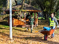 Na Paluchu jesienią  Schronisko dla Bezdomnych Zwierząt "Na Paluchu" w Warszawie. Jesień 2018 : na paluchu, schronisko dla bezdomnych zwierząt, jesień w schronisku, bezdomne zwierzęta, na skraju