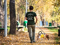 Na Paluchu jesienią  Schronisko dla Bezdomnych Zwierząt "Na Paluchu" w Warszawie. Jesień 2018 : na paluchu, schronisko dla bezdomnych zwierząt, jesień w schronisku, bezdomne zwierzęta, na skraju
