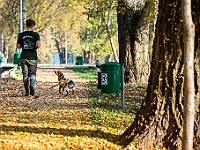 Na Paluchu jesienią  Schronisko dla Bezdomnych Zwierząt "Na Paluchu" w Warszawie. Jesień 2018 : na paluchu, schronisko dla bezdomnych zwierząt, jesień w schronisku, bezdomne zwierzęta, na skraju