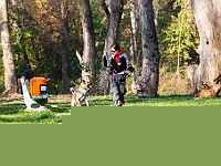 Na Paluchu jesienią  Schronisko dla Bezdomnych Zwierząt "Na Paluchu" w Warszawie. Jesień 2018 : na paluchu, schronisko dla bezdomnych zwierząt, jesień w schronisku, bezdomne zwierzęta, na skraju