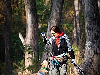 Na Paluchu jesienią  Schronisko dla Bezdomnych Zwierząt "Na Paluchu" w Warszawie. Jesień 2018 : na paluchu, schronisko dla bezdomnych zwierząt, jesień w schronisku, bezdomne zwierzęta, na skraju