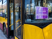 Na Paluchu jesienią  Schronisko dla Bezdomnych Zwierząt "Na Paluchu" w Warszawie. Jesień 2018 : na paluchu, schronisko dla bezdomnych zwierząt, jesień w schronisku, bezdomne zwierzęta, na skraju